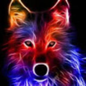 Meet your Posher, Jade